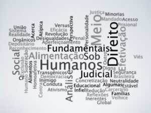 advogado especialista em direito constitucional